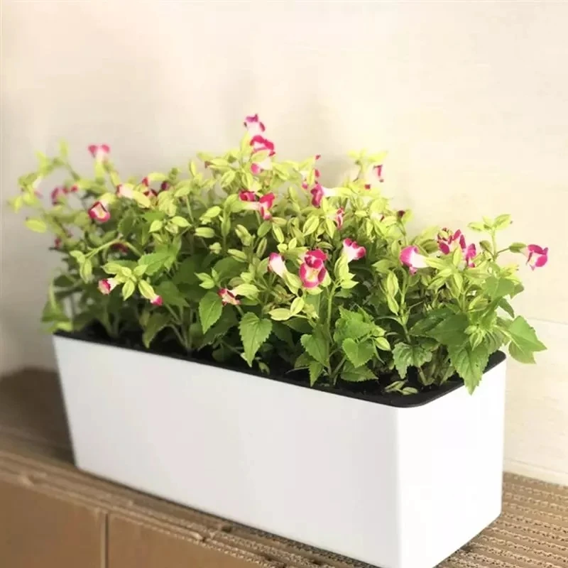 Automatic Plant Waterer - Dikdörtgen Tembel Saksı Saksı Topraksız Plastik