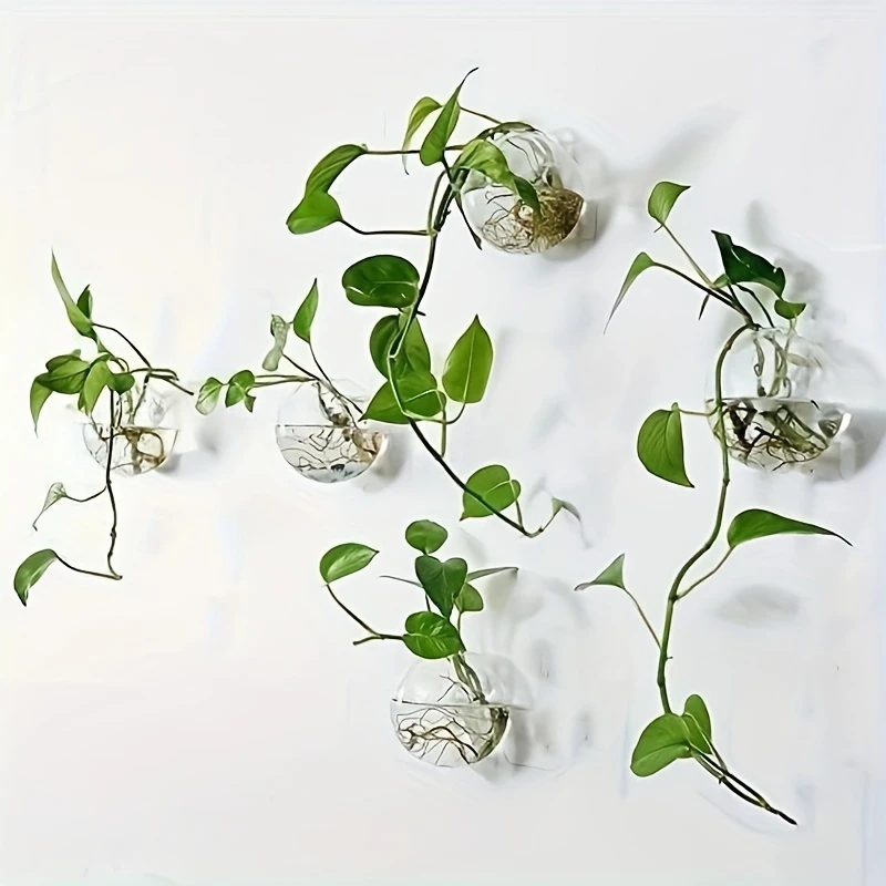 2/4/6'lı Paket Duvara Asılabil - Self-Watering Planter incelemesi ve fiyatı