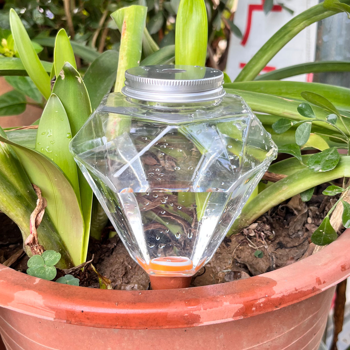 1 adet Sevimli Plastik Sulama  - Automatic Plant Waterer incelemesi ve fiyatı
